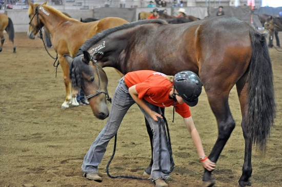 Supreme Extreme Mustang Makeover Youth Freestyle Finals